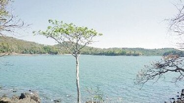 Ordenarán desarrollo en el golfo de Chiriquí