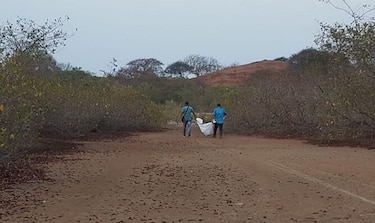 Fiscal: Osamenta hallada en la playa La Colorada es de un hombre