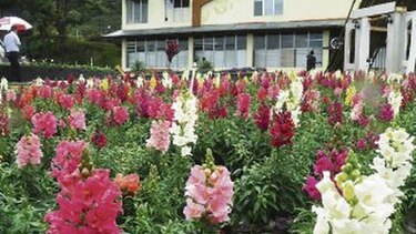 Todo listo para inaugurar feria del centenario en Boquete