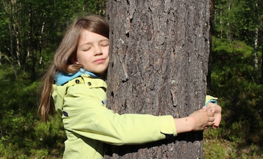 El gran poder de abrazar un árbol
