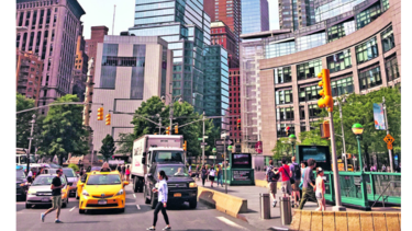 Nueva York y sus criaturas