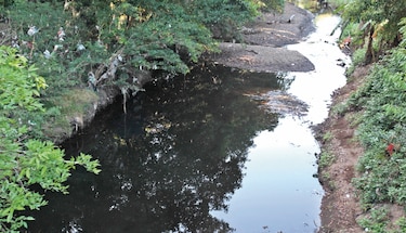 Contaminación en Patacón excede el área del relleno