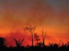 En octubre la deforestación en la Amazonía aumentó 50%