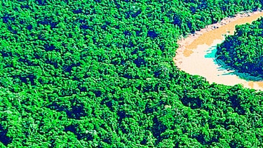Proyecto amenaza cuenca del Amazonas