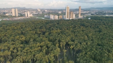 Una condena por afectar la bahía de Panamá
