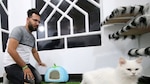 Mascotas en el cine, ciencia y hoteles