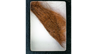 Puja por un mechón de pelo de John Lennon