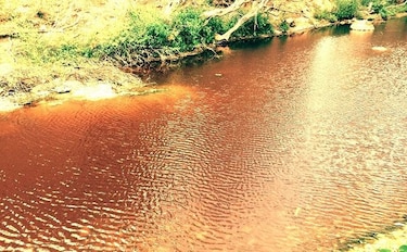 Informan a las autoridades que aguas del río Guararé están contaminadas