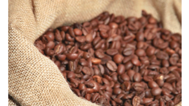 Auge en producción de café  consuela a productores 