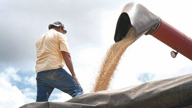 COFCO compra millones de toneladas de soja de EU