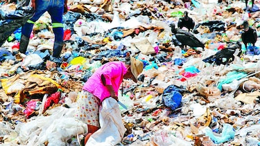 Apuesta millonaria para eliminar los vertederos