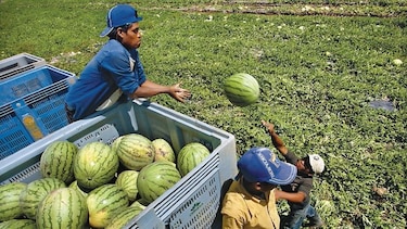 Exportaciones, un desafío para pequeñas compañías