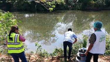 En Azuero: tres ríos para captar agua en los carnavales