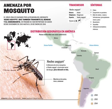 OMS declara emergencia mundial por el zika