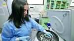Panameños estudian virus chikungunya