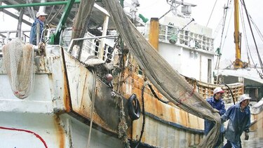 Francia se adelanta y prohíbe pesca de arrastre eléctrica