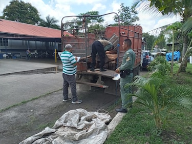 Retienen camión con madera talada en el Parque Soberanía
