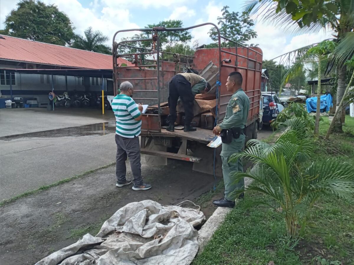 Talada Retienen camión con madera talada en el Parque Soberanía | La Prensa Panamá