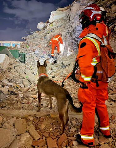 Perros, drones y detectores de sonido: cómo encuentran sobrevivientes los rescatistas en Venezuela