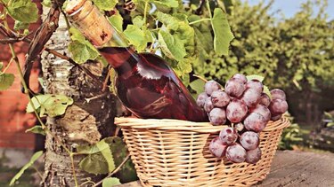 Las formas en que cambiará el vino en 2019