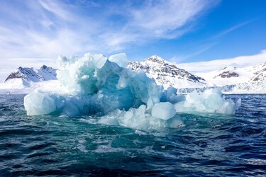 Qué es el vórtice polar, el principal detonante de la mayor tormenta de nieve que azota a Estados Unidos en décadas