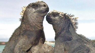 Alerta en las islas Galápagos tras derrame de combustible