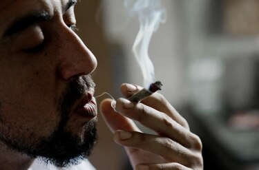 Senado uruguayo inició último debate para legalizar la marihuana