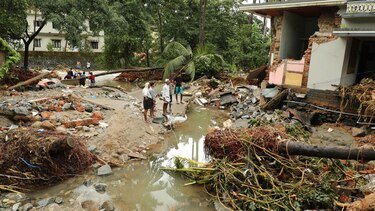 Un perro salva a una familia de las inundaciones en India