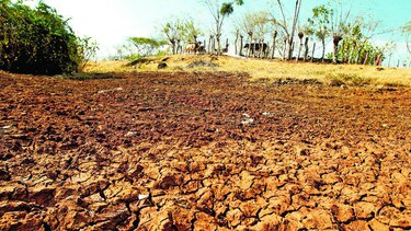 La sequía causa estragos en Azuero