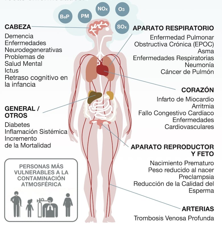 El aire contaminado por los incendios en cerro Patacón ahoga la ciudad de Panamá