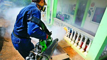 Virus zika aumenta en el distrito de Panamá