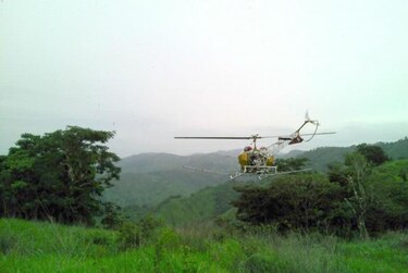 Investigan fumigación aérea en tierras altas de Herrera