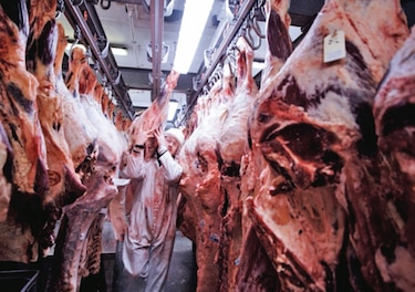 Joe Biden quiere impulsar competencia entre productores de carne 