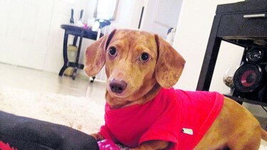 Adorable Chanel