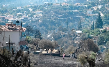 La tierra se calienta y Europa sufre por altas temperaturas