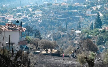 La tierra se calienta y Europa sufre por altas temperaturas