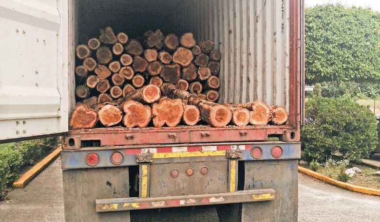 El ‘efecto rebote’ de los aranceles de Estados Unidos que golpea a los exportadores panameños