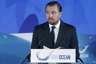 Nueva aplicación en línea permitirá vigilar la industria de la pesca