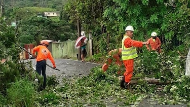 Al menos 15 viviendas afectadas por caída de árboles y lluvia en la ciudad capital y provincia de  Colón