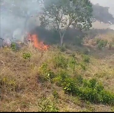 Incendios afectan unas dos mil hectáreas de reservas forestales