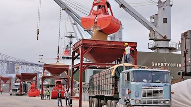 Solicitan restringir importación de arroz