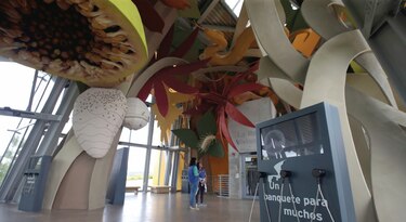 El Biomuseo se reinventa
