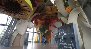 El Biomuseo se reinventa