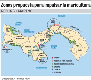 Industria pesquera cambia de estrategia