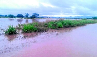 Lluvias afectan áreas de producción de cultivos en Natá