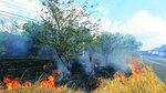 Aumentan incendios forestales