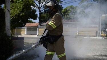 Ministerio de Salud reporta 2 mil 375 casos de dengue en el país