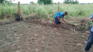 Construyen vivero para garantizar el nacimiento de 18 mil tortugas en isla Cañas