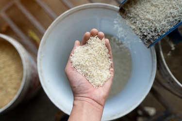Fin del debate: ¿Se debe lavar el arroz antes de cocinarlo?