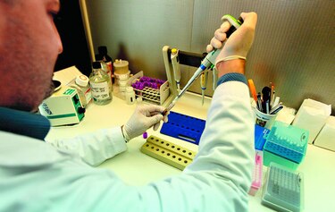 Un laboratorio panameño, cuya labor trasciende las fronteras